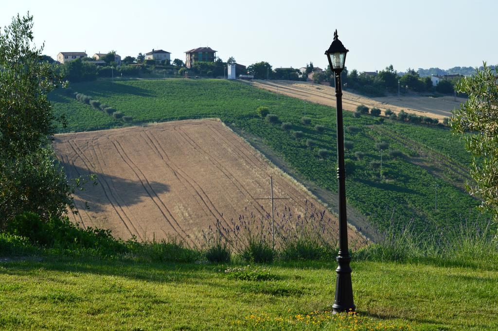 Вілла Agriturismo Tenuta Belvedere Belvedere Ostrense Екстер'єр фото